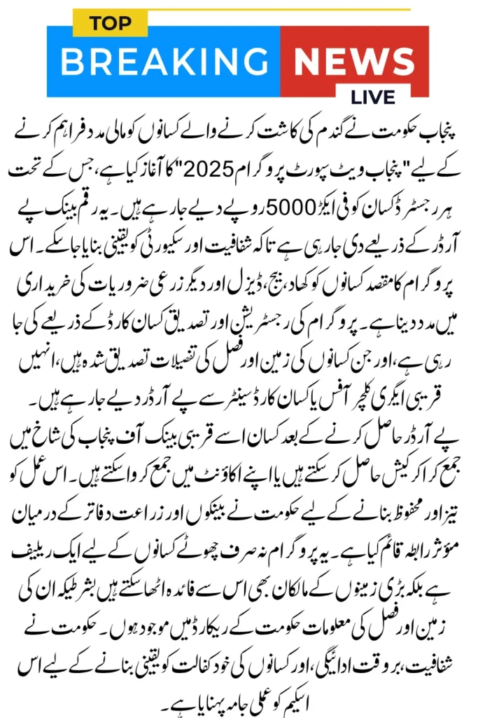 Punjab Wheat Support Program Pay Order 2025 Complete Payment Guide