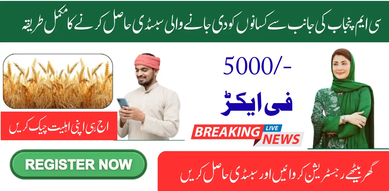  Punjab Wheat Support Program Pay Order 2025 The agriculture sector is the backbone of Pakistan’s economy,