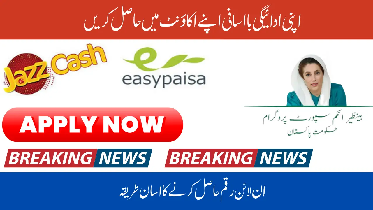BISP Phase 3 Payment 2025 How to Receive Rs. 13,500 via 8171 Portal