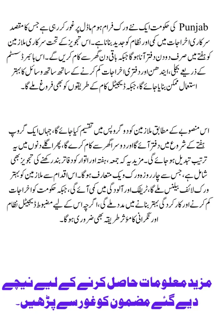 Punjab Government Considers Work-from-Home Plan to Cut Expenses and Boost Efficiency