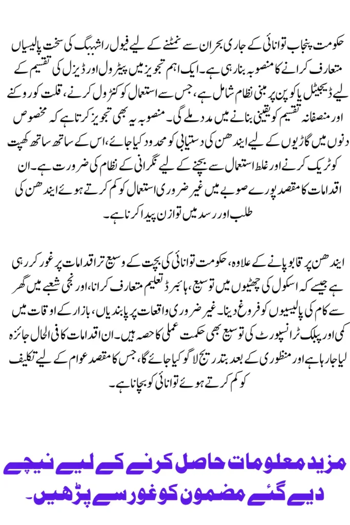 Punjab Government Plans Fuel Rationing and Energy Saving Measures Amid Crisis